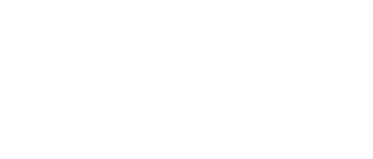 wahnsonic.com